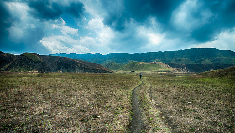 Road to Dzukou Valley (p.c. Salim Islam)