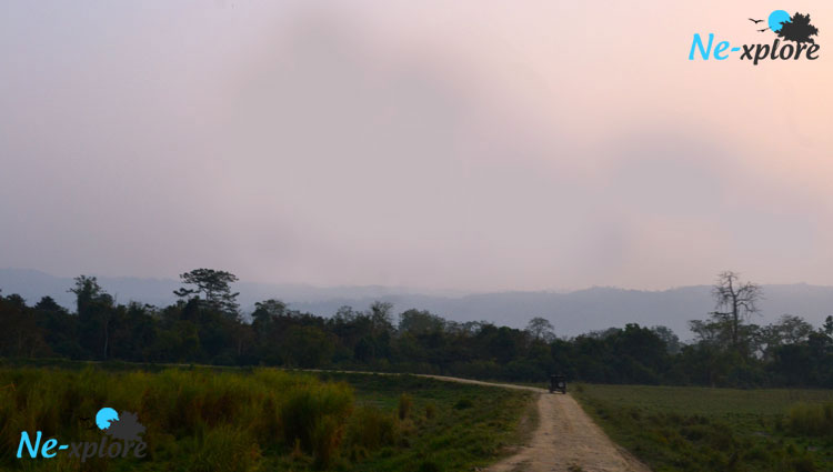 Kaziranga National Park trip