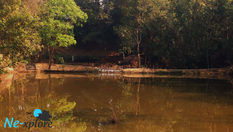  Kaziranga orchid park