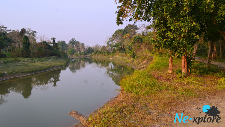 Lake inside Kaziranga National Park