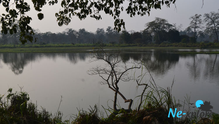  Kaziranga National Park