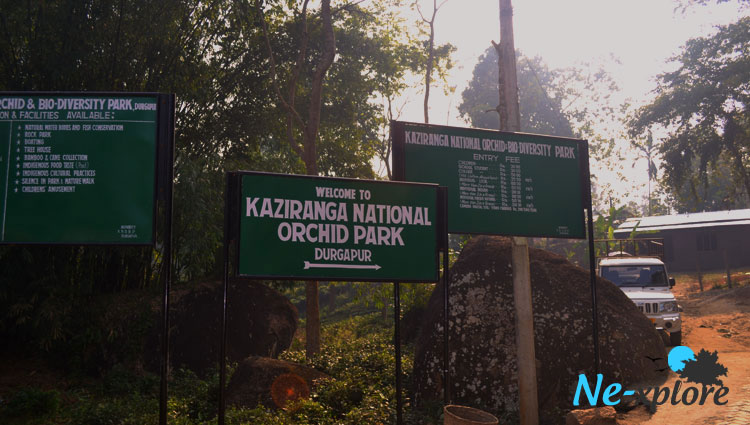  Kaziranga orchid park