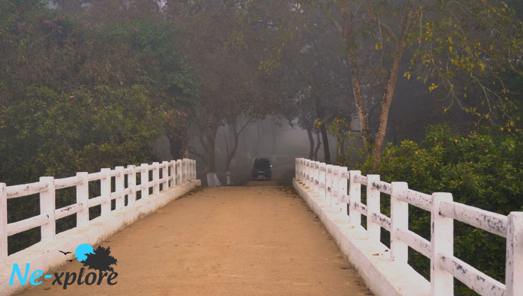  Kaziranga National Park