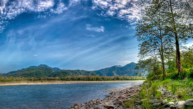 Manas National Park