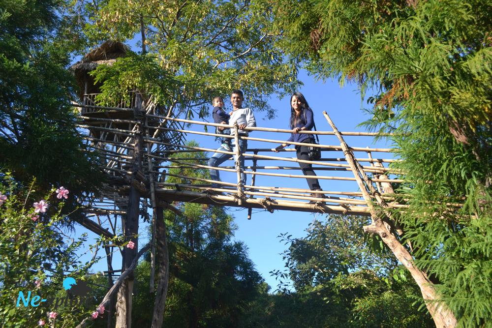 Skywalk at Mawlynnong village