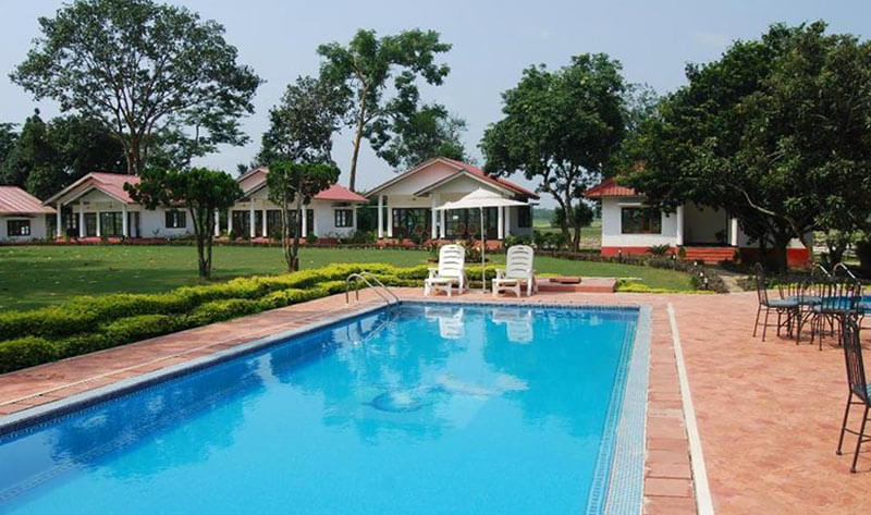 Kaziranga resort