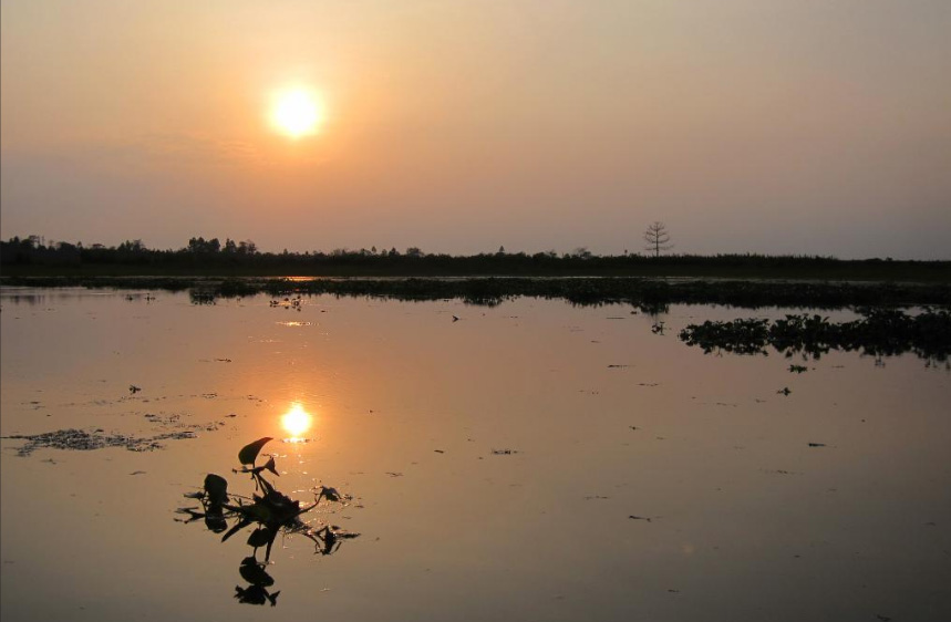 Dibru Saikhowa sunset, Dibru Saikhowa image