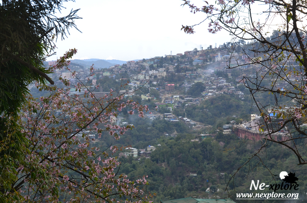 Kohima Travel Blog