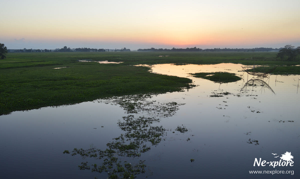 Sunrise at Majuli, Majuli island gallery