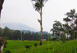 Indira Gandhi Park Itangar