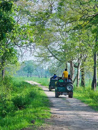 Kaziranga National park tour package