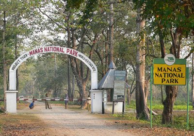 Manas National Park Travel Guide