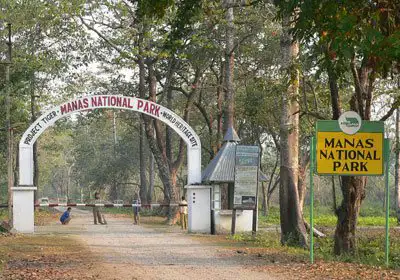 Manas National Park Tour