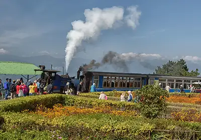 Guwahati Darjeeling Tour 4 days