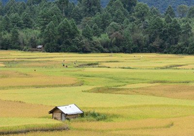 Ziro valley tour packages
