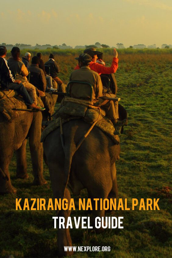 Kaziranga National park travel guide
