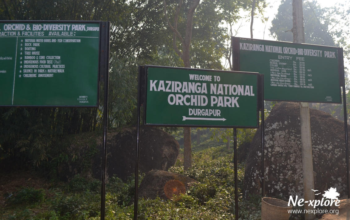 Kaziranga Orchid Park