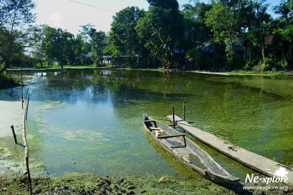 Dakhinpat Satra, how to spend a day in majuli