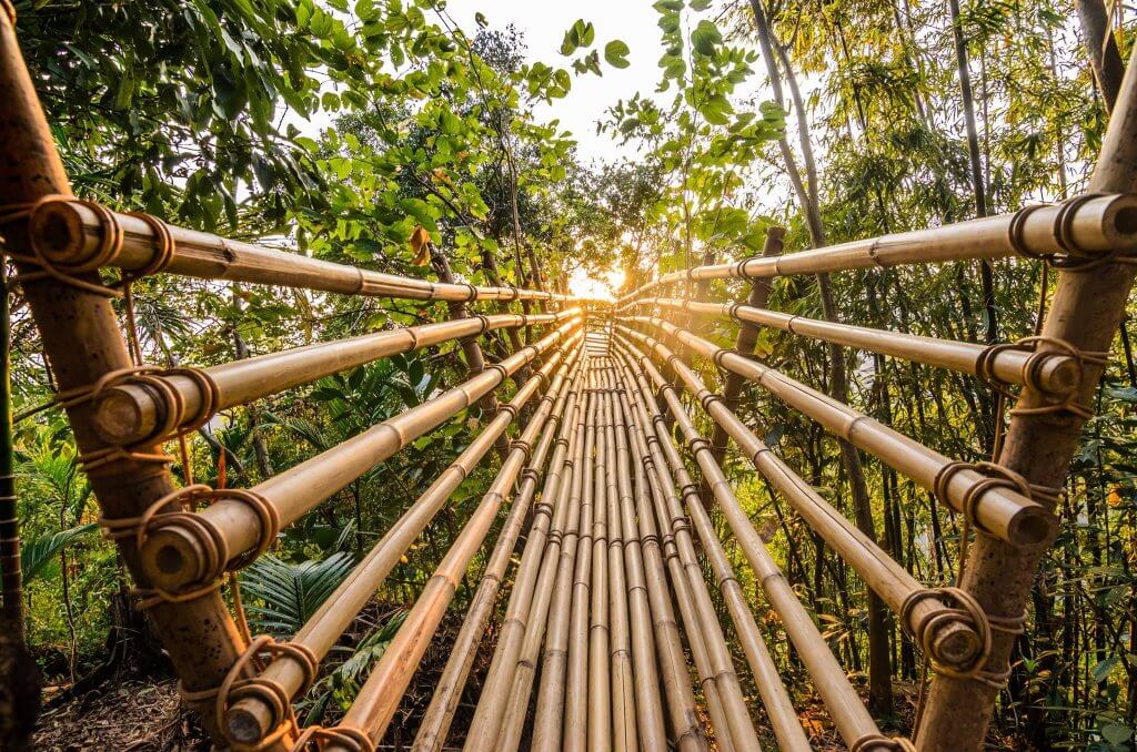 Tree house Nohweet village