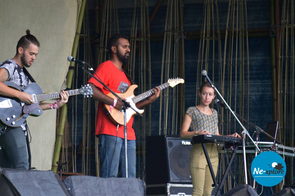 Performance at Music Festival