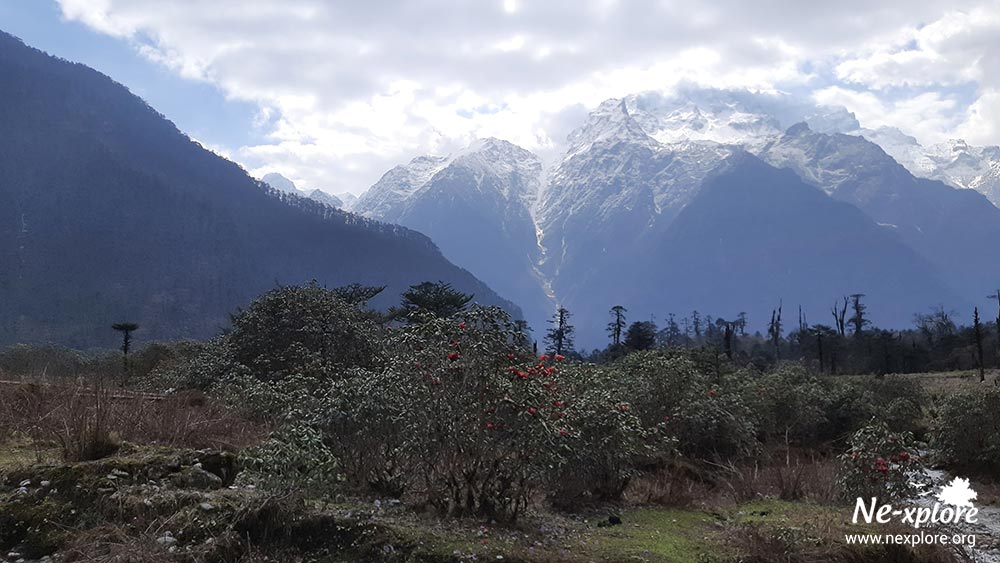 yumthang valley , best places to visit in north sikkim
