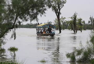 Boat safari at Dibru Saikhwa National Park