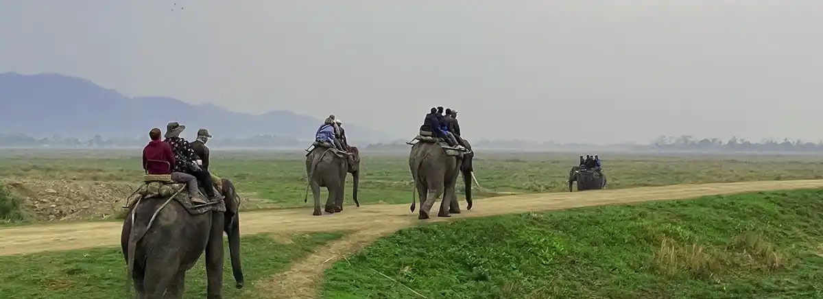 elephant safari at Kaziranga | Kaziranga package tour 3 days